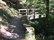 7.27.06 Oaks Bottom 018 